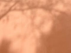 -重庆市江北嘴中央商务区中央公园