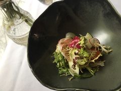 -蝶舍·MAISON PAPILLON