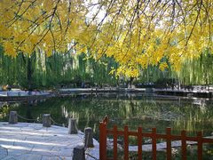 -玲珑塔公园