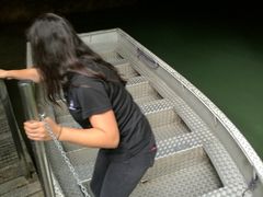 -怀托摩萤火虫洞