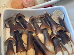 -润园四季椰子鸡火锅(南山海岸城店)