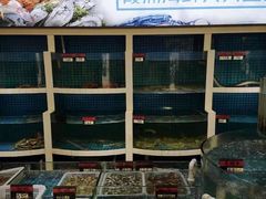大堂-闽鲜森霞浦海鲜城