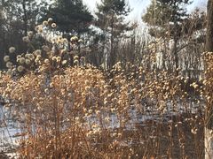 -长春世界雕塑园冰雪艺术天地