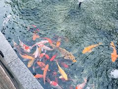 -仙林宾馆-餐厅