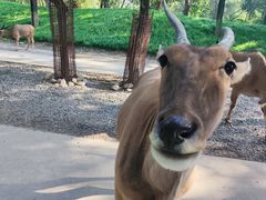 -北京野生动物园