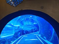 -成都浩海立方海洋公园