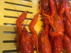 -肥肥虾庄·金牌油焖大虾(汉街SKP店)