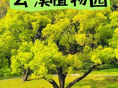 -云溪植物园