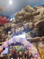 -卡通尼·Safari非洲探索乐园·生日会(金桥国际商业广场店)