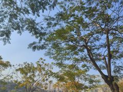 -白石龙音乐公园