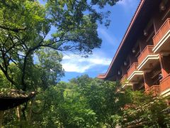 -杭州花家山庄