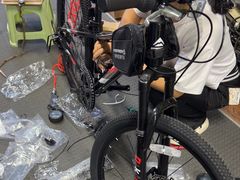 -道路口单车爱瓦士dahon大行