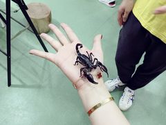 -藦茜花园宠物主题亲子互动体验馆(国顺东路店)