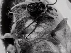 -大鸭梨烤鸭(枣园店)