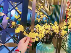 -木棉·醉心粤味(COCO Park店)
