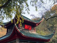 -岳麓山风景名胜区