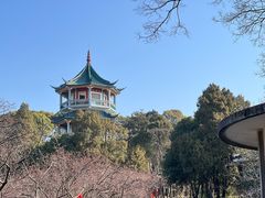 -无锡梅园公园