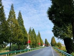 -陶辛水韵