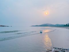 -广东惠东海龟国家级自然保护区