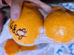 -鲜丰水果(大武汉1911店)