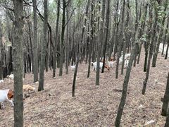 -艾山风景名胜区