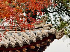 -韩城古城