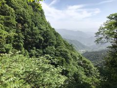 -王顺山国家森林公园