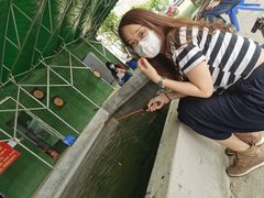 -会江钓鱼钓虾烧烤场