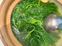 上汤时蔬-红城阁·上海味道(四平路店)