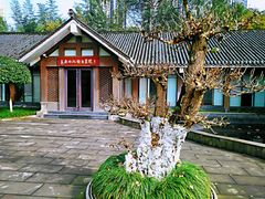 -龙头寺公园