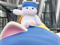 -深圳湾万象城(南山店)