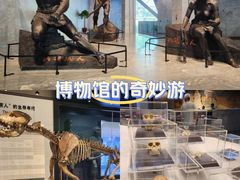 -北京周口店北京人遗址博物馆