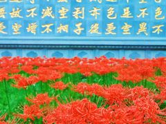 -西安大兴善寺
