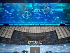 -泉城欧乐堡海洋极地世界