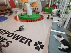 -福田卓悦INTOWN购物中心