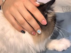 点击看大图 -M·X Nail日式美甲美睫