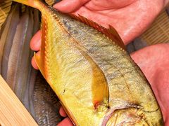 -镹·鱼料理  国产鱼使用店