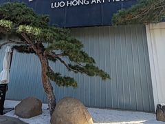 -罗红摄影艺术馆