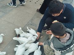 -天津妈祖文化园