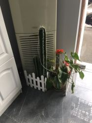 -茶发Salon·烫发染发理发