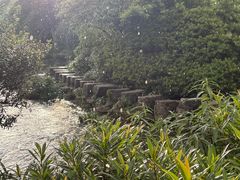 -花溪公园