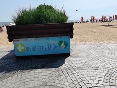 -天津东疆湾沙滩景区