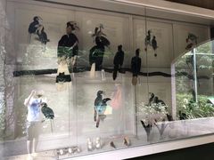 -新加坡飞禽公园