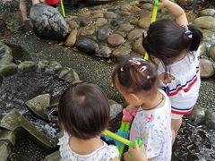 -成都市活水公园