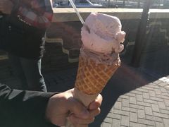 -Patagonia Chocolates(皇后镇店)