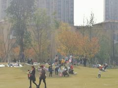 -府河摄影公园