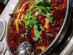 -蛙蛙鸡冷锅鱼(驷马桥店)