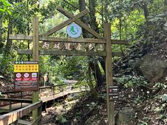 -西双版纳原始森林公园