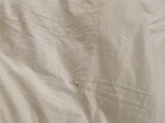 -海创大连科技交流中心(海事大学地铁站店)