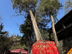 -潭柘寺景区